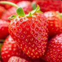 Morango
